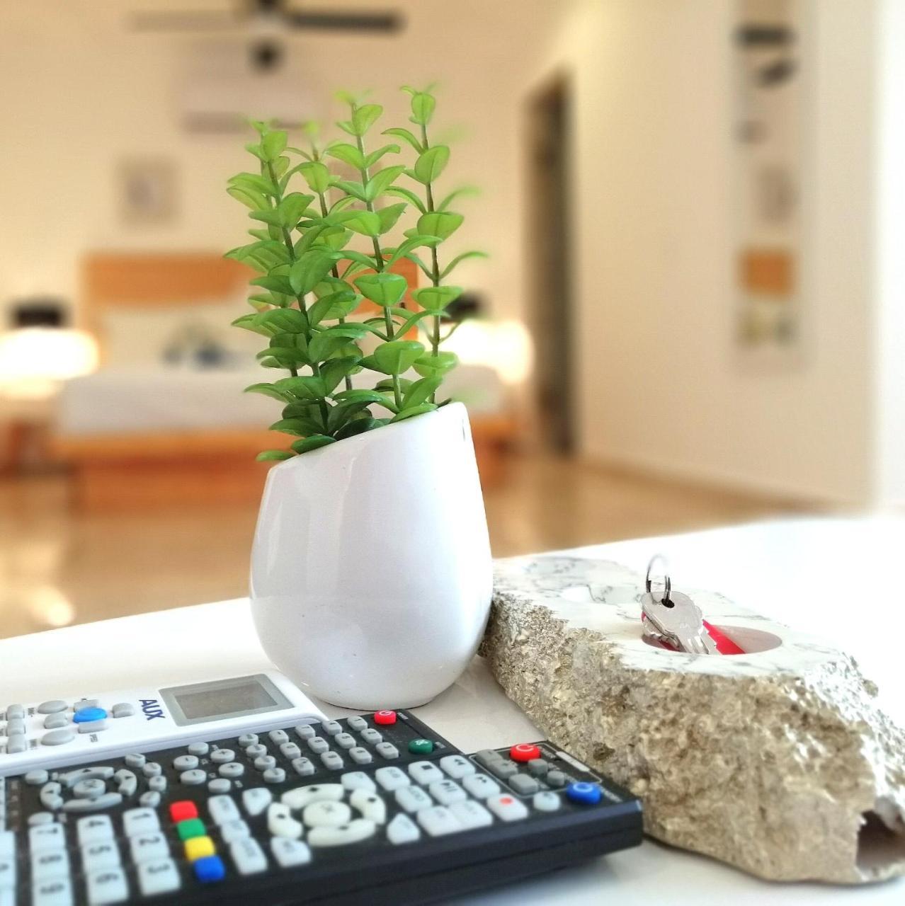 פלאייה דל כרמן 5Th Coral Suites By Holiday In Playa מראה חיצוני תמונה
